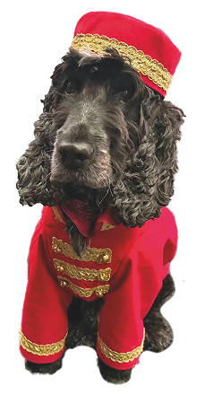 Hotel Derlon Maastricht